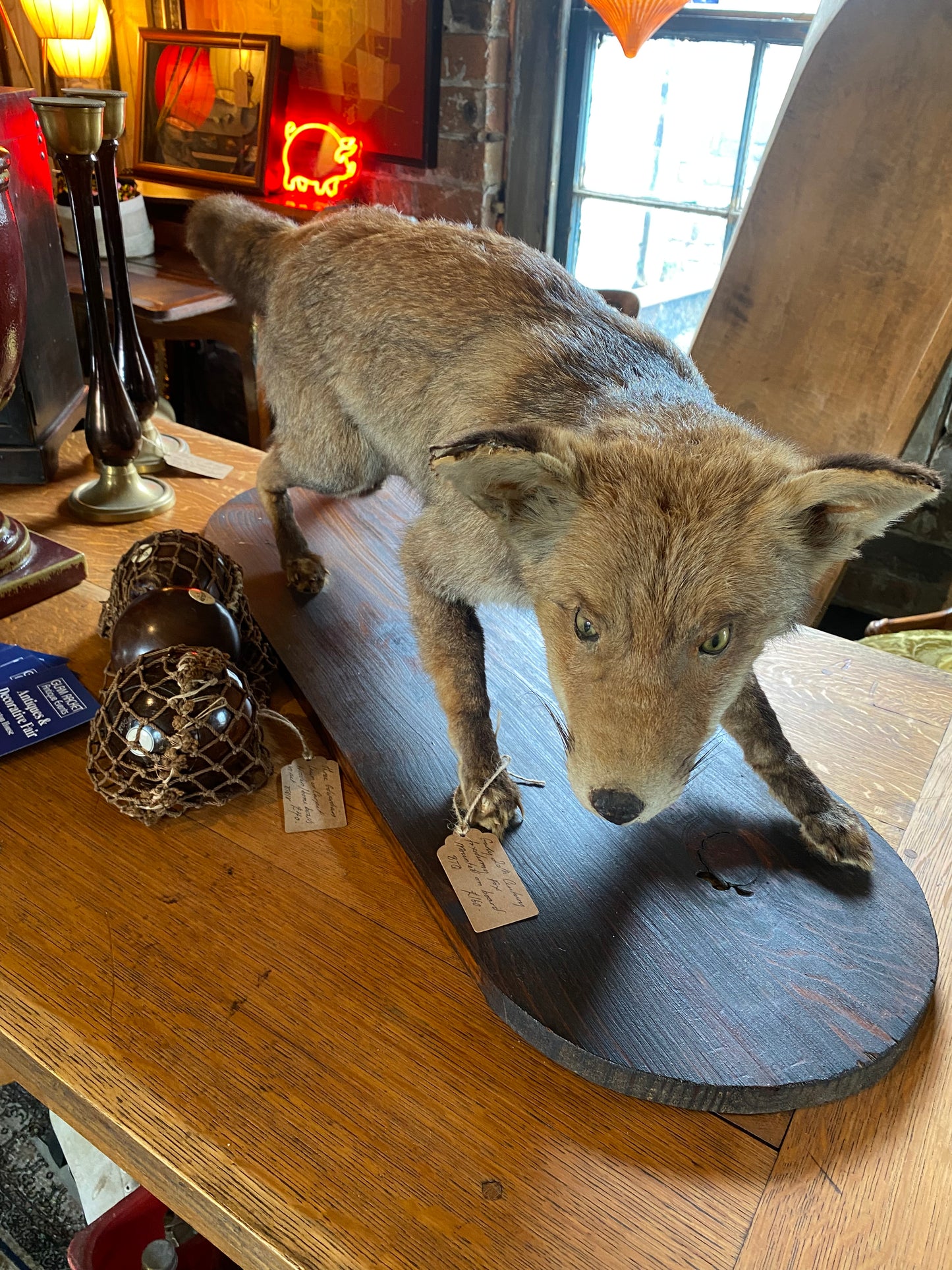Vintage taxidermy red fox on wooden base