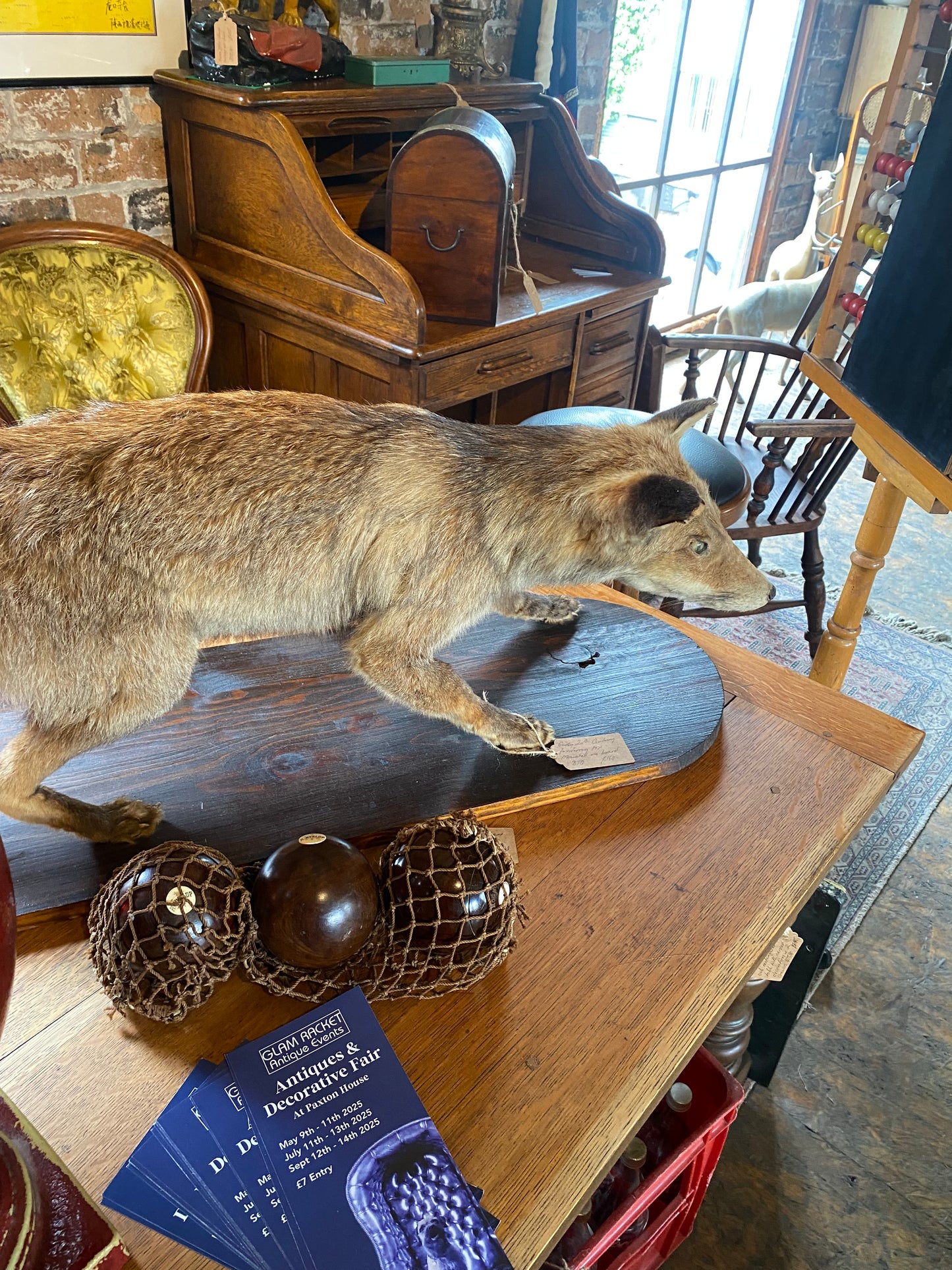 Vintage taxidermy red fox on wooden base
