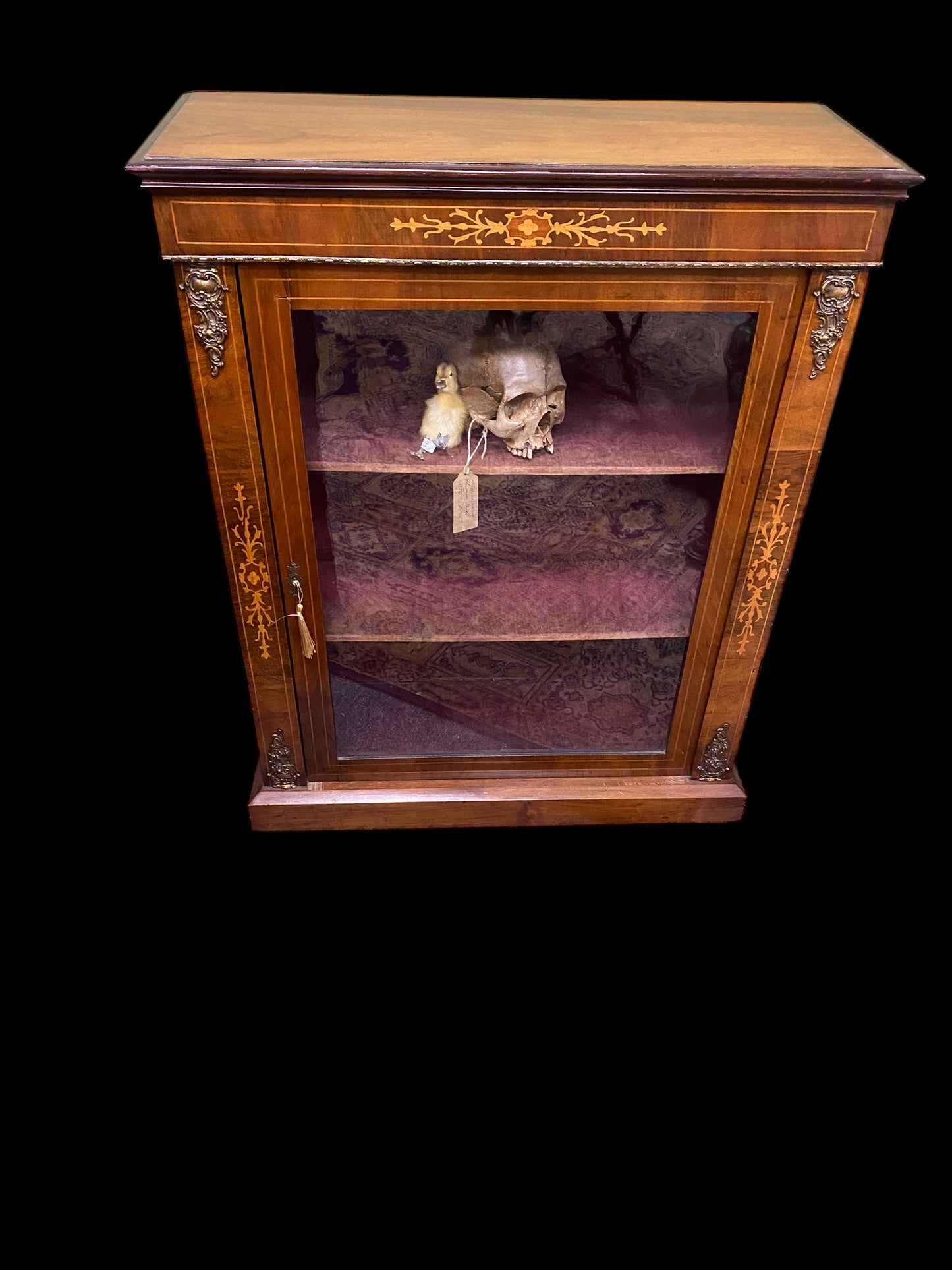 Victorian inlaid walnut display case with velvet shelves