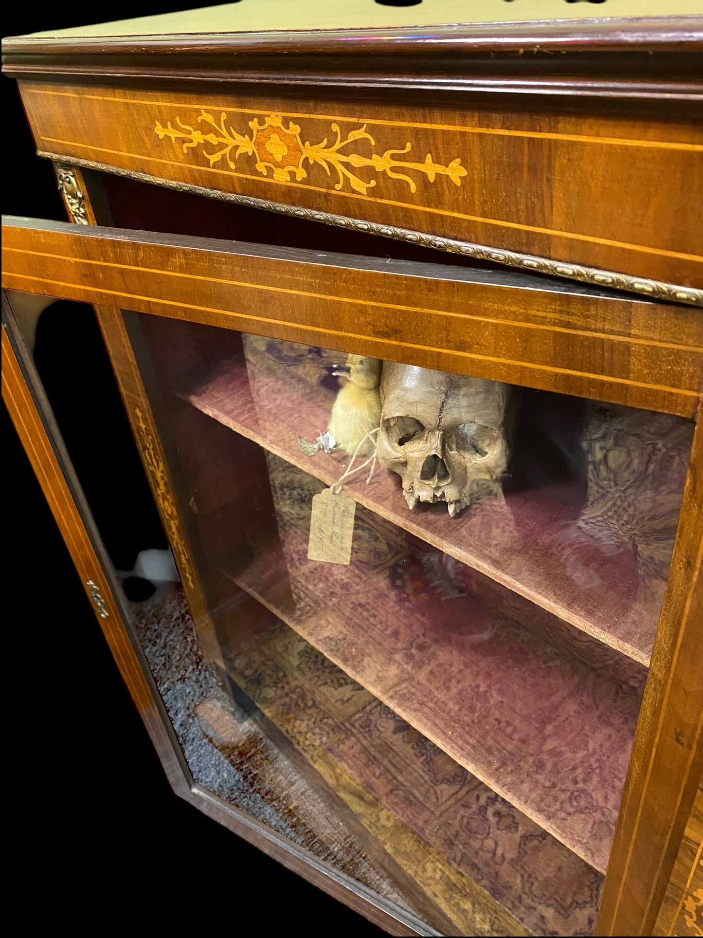 Victorian inlaid walnut display case with velvet shelves