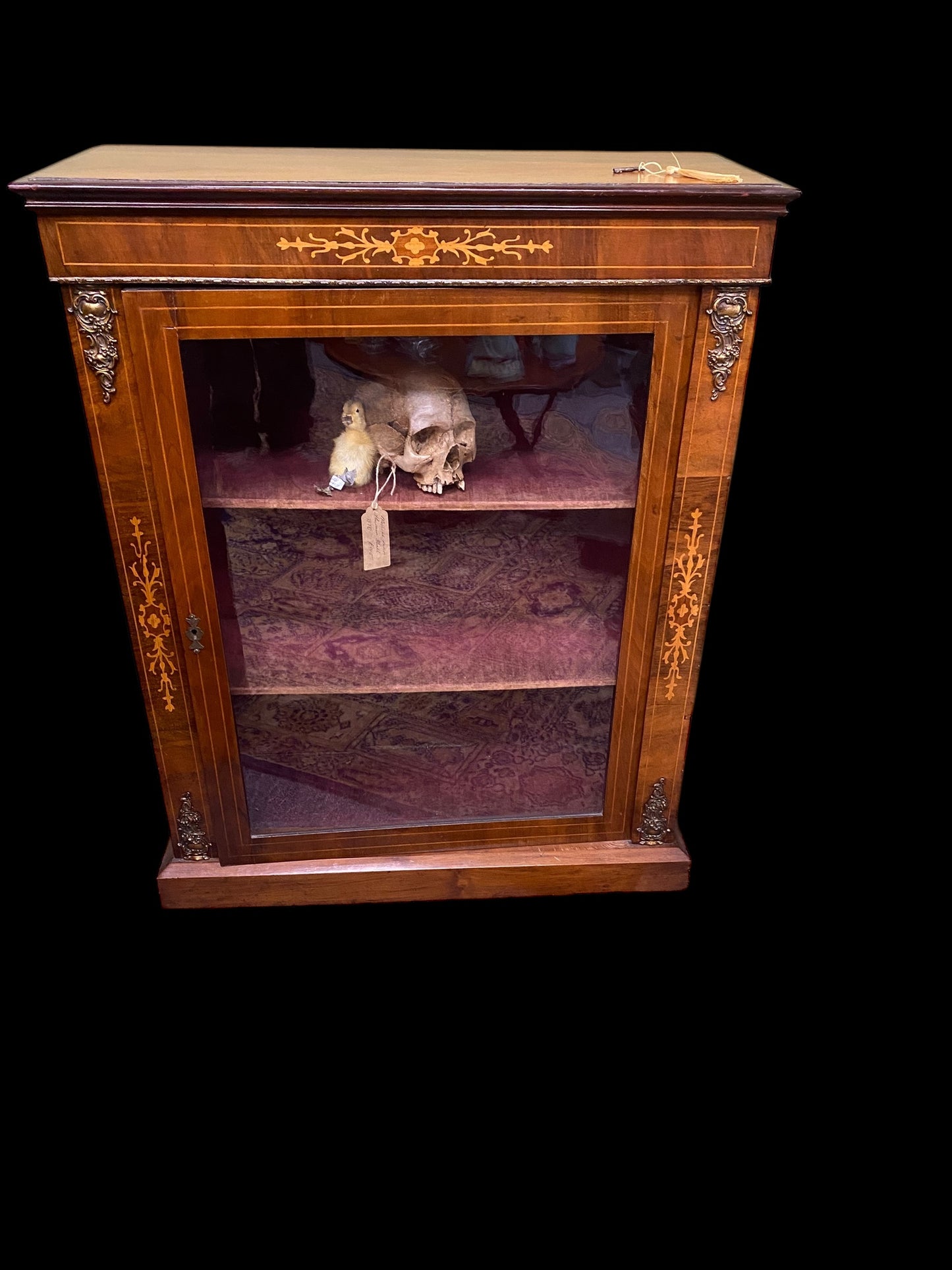 Victorian inlaid walnut display case with velvet shelves