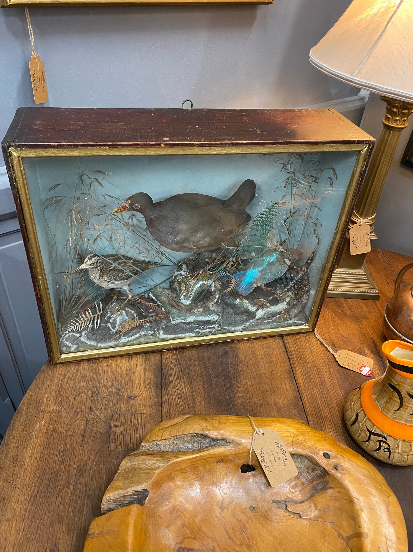 Late Victorian taxidermy bird display